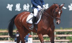 九游中国-马术竞技：选手与骏马合作默契