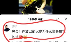 九游体育直播-德国乒乓球队绝地反击瑞典乒乓球队，许昕完成帽子戏法的简单介绍