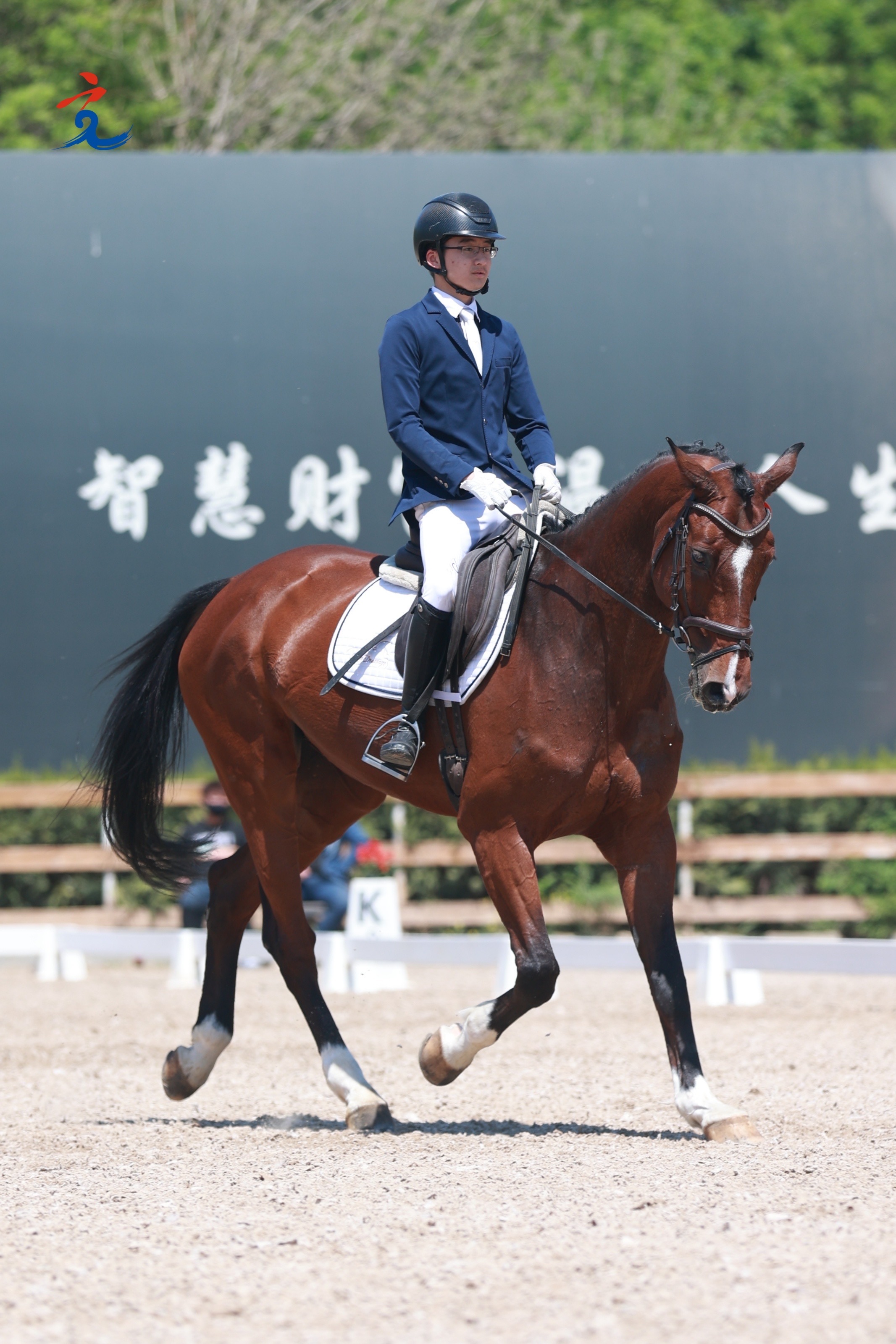 马术竞技:选手与骏马合作默契 马术竞技:选手与骏马合作默契