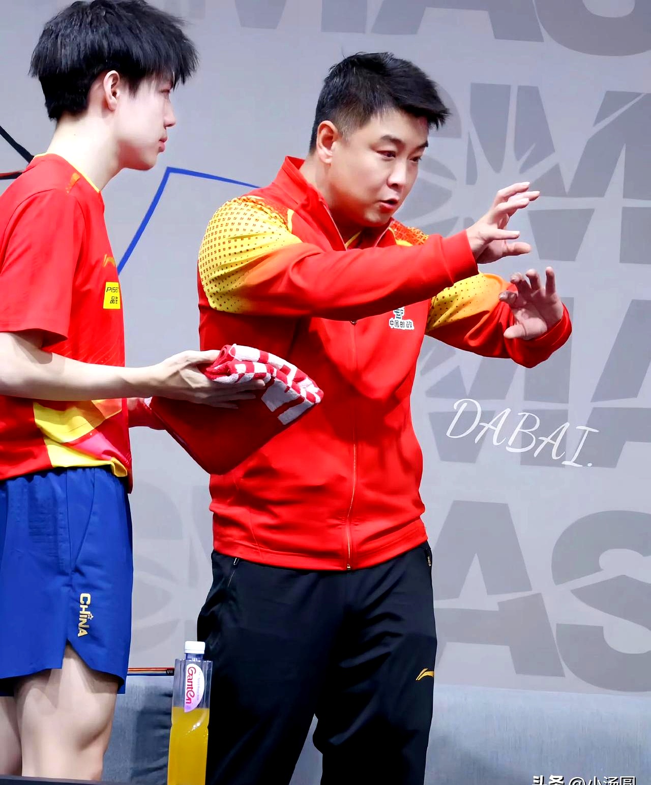 关于奥地利队绝杀瑞典队，王皓惊艳四座的信息