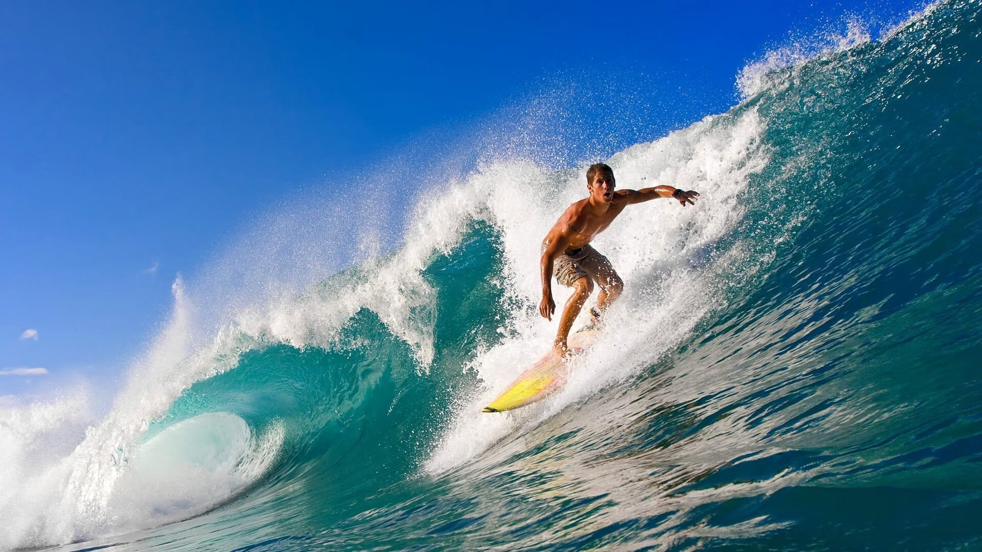 逆转奇迹，深圳队如何凭借武切维奇的高光表现击败掘金